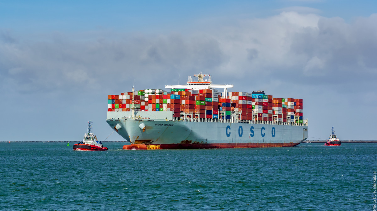 Ocean Freight Transportation Services